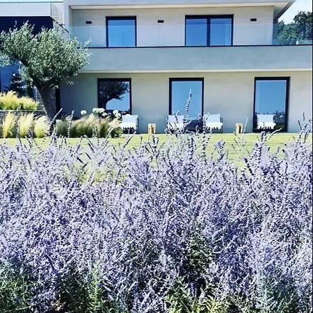 Elsa, Golfe De Saint Tropez, Sublime Vue *